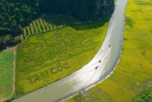 Desde Hanoi: Tour de 1 día a Ninh Binh - Hoa Lu, Tam Coc/Trang An