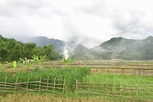 Hanoi: Ninh Binh, Bai Dinh/Hoa Lu, Trang An, & Mua Cave Tour