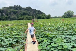 Hanói: Ninh Binh, Hoa Lu, Trang An e excursão à caverna Mua