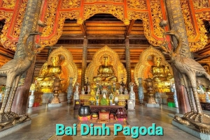 Fra Hanoi/Ninh Binh: privat heldagstur til Ninh Binh