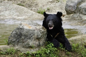 Fra Hanoi/Ninh Binh: privat heldagstur til Ninh Binh
