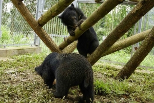 Fra Hanoi/Ninh Binh: privat heldagstur til Ninh Binh