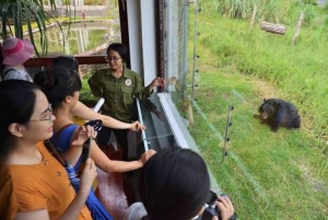 Fra Hanoi/Ninh Binh: privat heldagstur til Ninh Binh