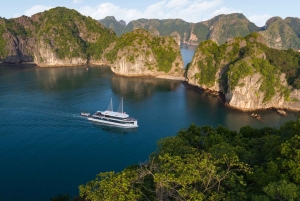 Z Hanoi lub Halong: Jednodniowy rejs po zatoce Halong