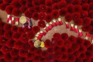 Från Hanoi: Parfympagoden eller rökelsebyn, konisk hatt