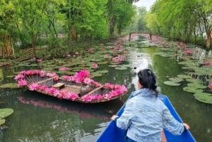 Från Hanoi: Parfympagoden eller rökelsebyn, konisk hatt