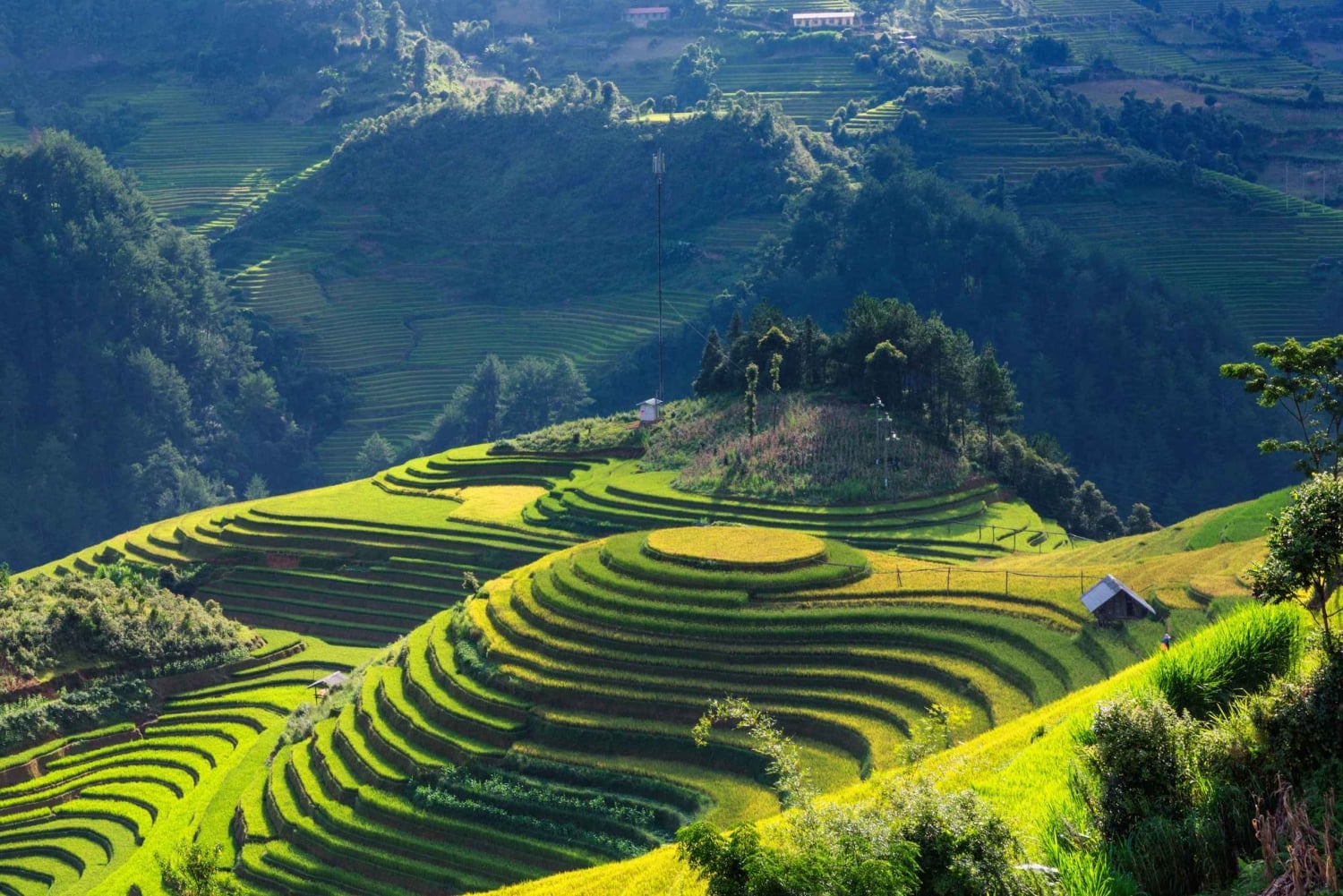 Fra Hanoi: Premium 2-dagers Sapa-eventyr med DCAR Limousine