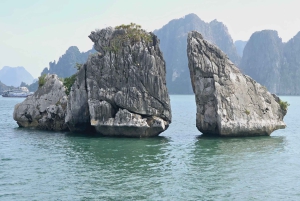 Hanoista: Yksityinen Ha Long Bayn kokopäiväretki