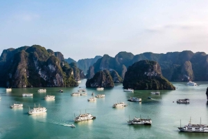 Z Hanoi: Prywatna całodniowa wycieczka do Zatoki Ha Long