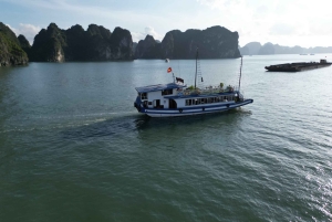 Z Hanoi: Prywatna całodniowa wycieczka do Zatoki Ha Long