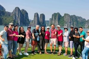 Z Hanoi: Prywatna całodniowa wycieczka do Zatoki Ha Long