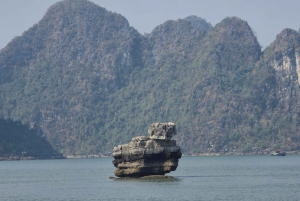 Z Hanoi: Prywatna całodniowa wycieczka do Zatoki Ha Long