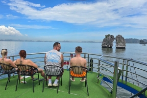 Z Hanoi: Prywatna całodniowa wycieczka do Zatoki Ha Long