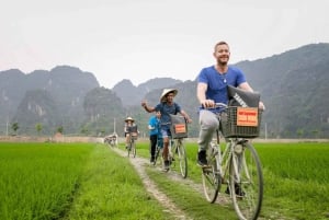 Vanuit Hanoi: Privé Ninh Binh- Bai Dinh, Trang An & Mua-grot