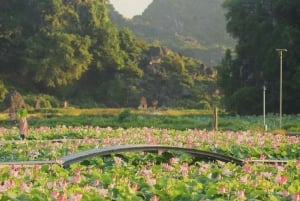 Vanuit Hanoi: Privé Ninh Binh- Bai Dinh, Trang An & Mua-grot