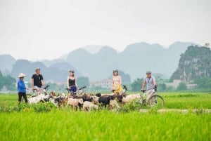 Vanuit Hanoi: Privé Ninh Binh- Bai Dinh, Trang An & Mua-grot