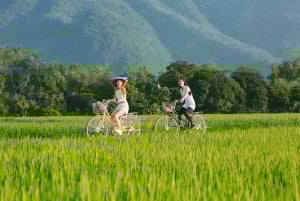 Vanuit Hanoi: Privé Ninh Binh- Bai Dinh, Trang An & Mua-grot