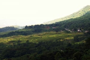 From HaNoi: Pu Luong 2 days journey to beautiful nature.