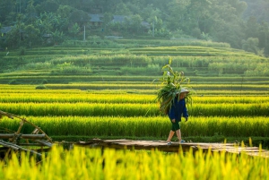 From Hanoi: Pu Luong Nature Reserve 2-Day Trek