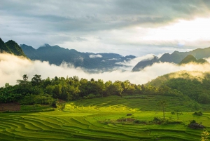 From Hanoi: Pu Luong Nature Reserve 2-Day Trek