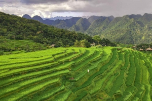 From Hanoi: Pu Luong Nature Reserve 2-Day Trek