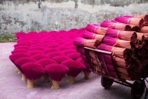 Desde Hanoi: Excursión a la Aldea del Incienso de Quang Phu Cau y Ninh Binh