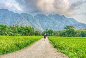 Från Hanoi: Quang Phu Cau rökelseby och rundtur i Ninh Binh