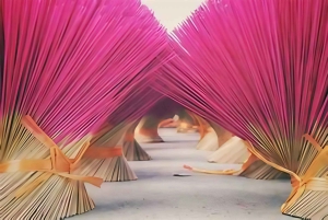 Från Hanoi: Quang Phu Cau rökelseby och rundtur i Ninh Binh