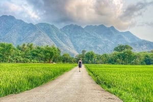 Da Hanoi: Villaggio dell'incenso di Quang Phu Cau e tour di Ninh Binh