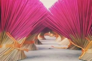 Da Hanoi: Villaggio dell'incenso di Quang Phu Cau e tour di Ninh Binh