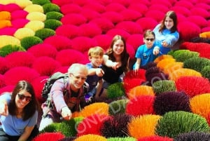 Hanoi: Koko päivän jeep-retki, paikallisia ruokia, nähtävyydet ja kulttuuri