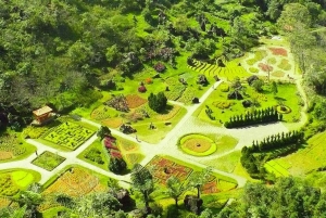 From Hanoi: Sapa 2 Days 1 Night Stay Hotel with Limousine