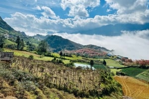 Da Hanoi: Trekking di 2 giorni a Sapa, Lao Chai e funivia del Fansipan