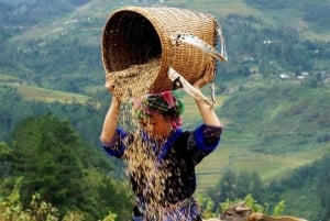 Da Hanoi: Trekking di 2 giorni a Sapa, Lao Chai e funivia del Fansipan