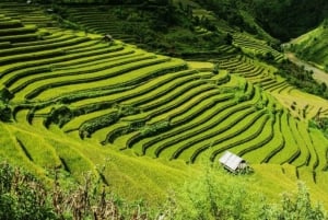Da Hanoi: Trekking di 2 giorni a Sapa, Lao Chai e funivia del Fansipan