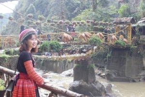 Da Hanoi: Trekking di 2 giorni a Sapa, Lao Chai e funivia del Fansipan