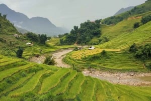 Da Hanoi: Trekking di 2 giorni a Sapa, Lao Chai e funivia del Fansipan