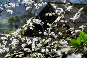 Från Hanoi: Sapa 3-dagars resa med medium vandring och limousine