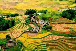 From Hanoi: Sapa 3-Day Medium Trek and Limousine Trip