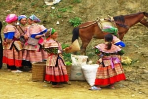 From Hanoi: Sapa 3-Day Medium Trek and Limousine Trip