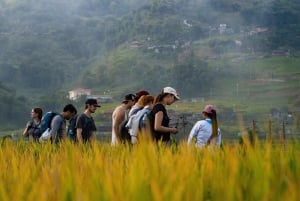 Desde Hanoi: Sapa: excursión de 3 días con cultura y acogedor bungalow
