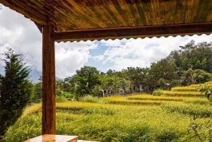 Desde Hanoi: Sapa: excursión de 3 días con cultura y acogedor bungalow