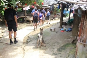 Sapa 3-dniowa przygoda trekkingowa z Hanoi
