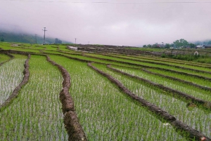 Hanoi: 3-dages Sapa-eventyr – Lao Chai, Cat Cat og Fansipan-bjergtoppen