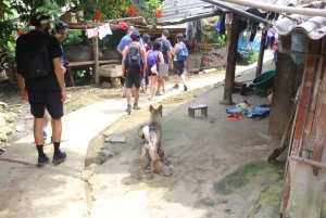 De Hanói: Pacote Sapa Discovery Tour 2 dias 1 noite
