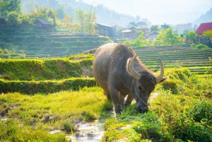 De Hanói: Pacote Sapa Discovery Tour 2 dias 1 noite