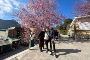 Von Hanoi/Sapa: Ha Giang 3-Tage Loop Tour mit Easy Rider