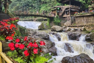 Из Ханоя/Сапы: Ежедневный трансфер на лимузине премиум-класса