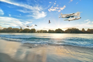 Vanuit Hanoi: watervliegtuig en Ha Long Bay-tour in 1 dag