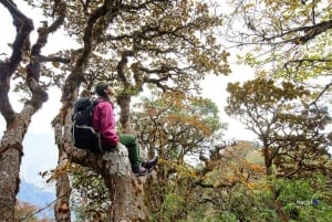 Desde Hanói: senderismo por la montaña TaLienSon con guía local